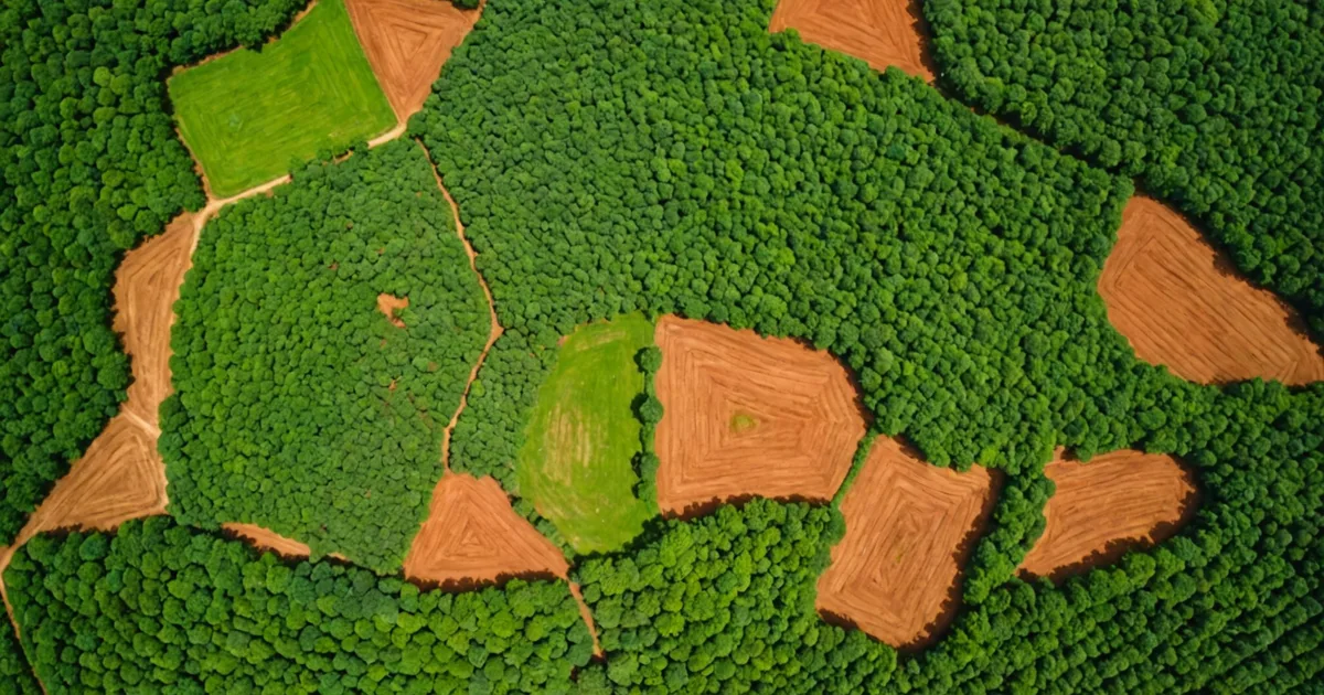 From Farm to Plot: Why the Unit of Analysis Changes Agricultural Credit